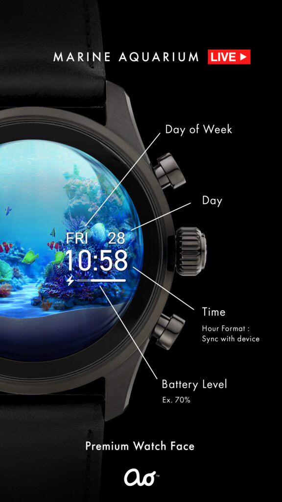 Aquarium_screenshot3